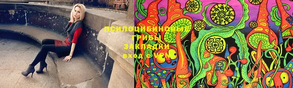 гидра Нефтегорск