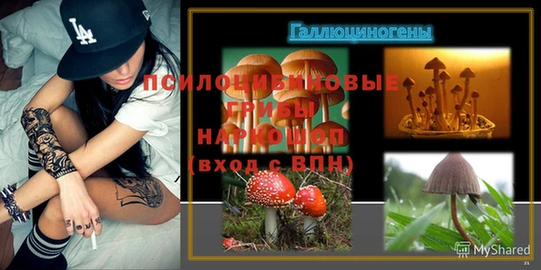 кокаин Новодвинск