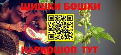 прущие крисы Камышлов