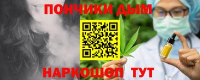 прущие крисы Камышлов