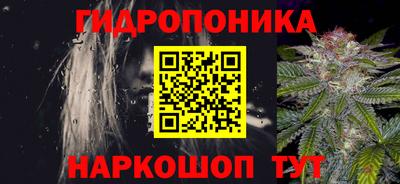 прущие крисы Камышлов