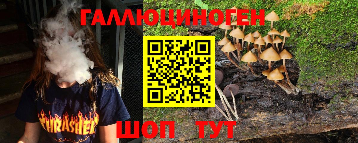 Галлюциногенные грибы Cubensis  Вход с VPN  Новокубанск  Псилоцибиновые грибы Magic Shrooms 