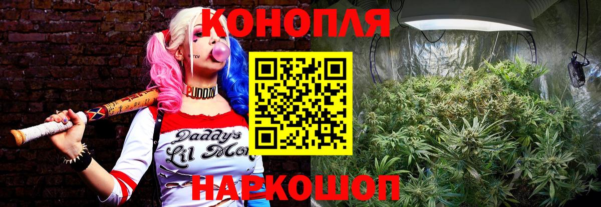 Бошки марихуана планчик  Бошки Шишки White Widow  Бошки Шишки LSD WEED  Вход с VPN  Новокубанск 